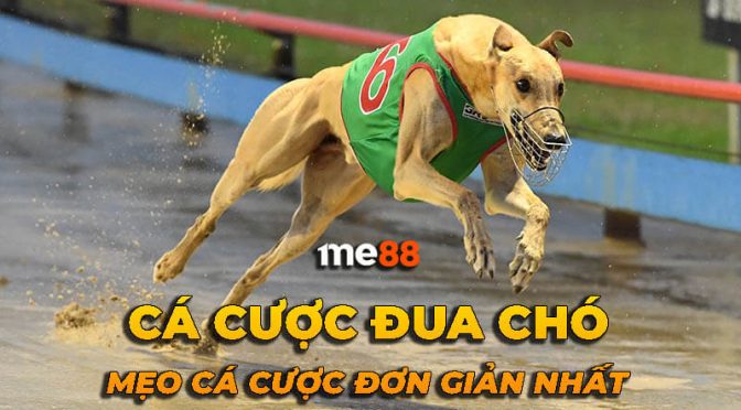 Dịch vụ chăm sóc khách hàng của Betcom luôn sẵn sàng hỗ trợ người chơi bất cứ lúc nào - Betcom