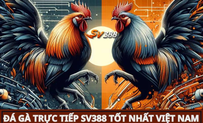 Chính sách Bwin của đại lý nổi tiếng - Bwin