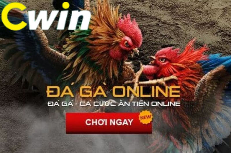 Những lợi ích tổng thể khi rút tiền từ Ngân hàng 11Bet - 11Bet