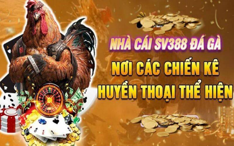 Bạn chỉ có thể mở một tài khoản với Vvvwin - Vvvwin
