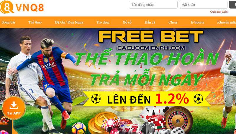 Hướng dẫn tìm kiếm cạnh tranh nâng cao Win55 - Câu hỏi thường gặp - Win55