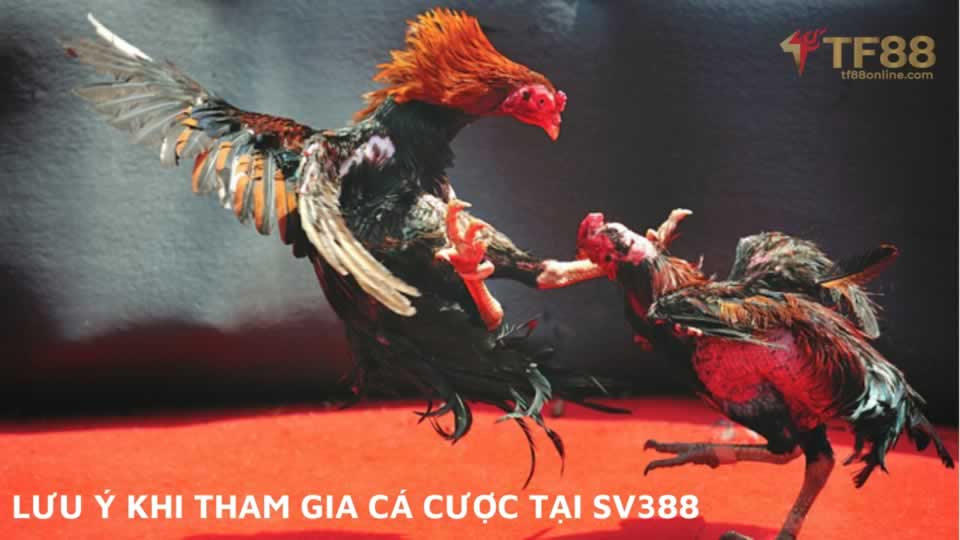 Tổng quan về Giải đấu Esports 66Vn năm 2026 - 66Vn