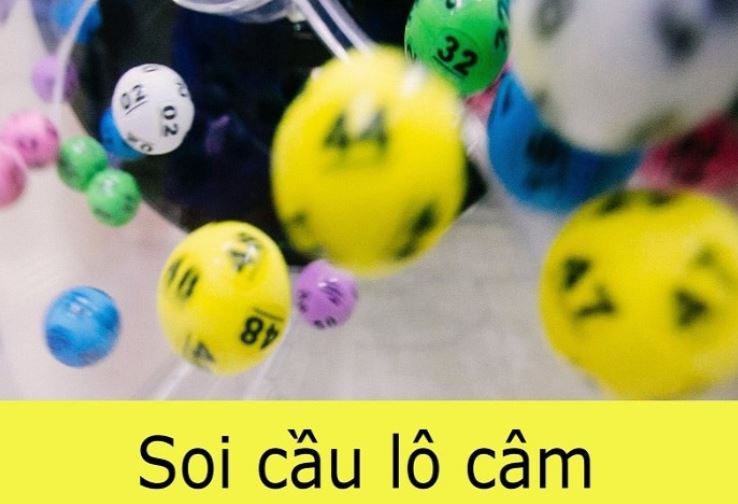 Bảo đảm tài chính cấp độ Qqvn - Qqvn