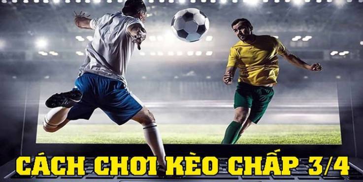 Việc cá cược vào các sự kiện thể thao cấp độ Benbet có hợp pháp không? - Benbet