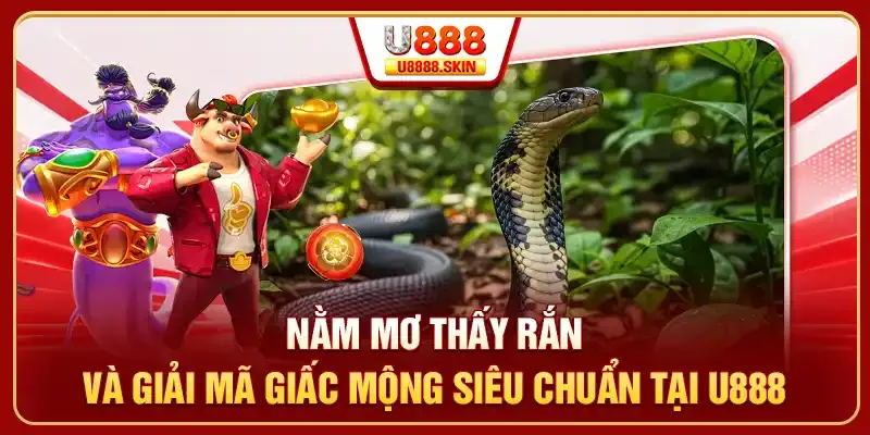 Một nền tảng trực tuyến cao cấp đạt chuẩn Vokbet - Vokbet