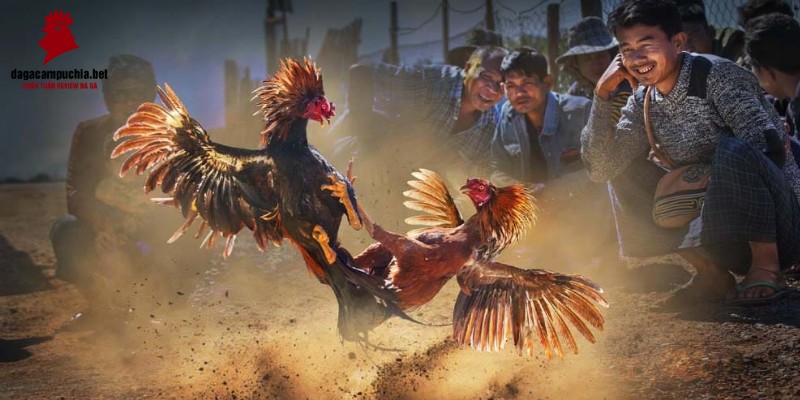 Mm88 là một trang web chơi game trực tuyến giàu nội dung và vô cùng hấp dẫn - Mm88