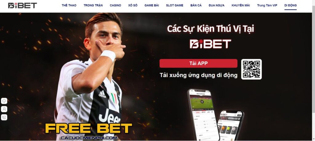 Các đại lý đạt chuẩn N666 cung cấp dịch vụ hỗ trợ nhiệt tình và chu đáo - N666