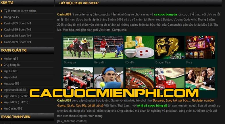 Các hoạt động quảng bá hấp dẫn của Winwin - Winwin