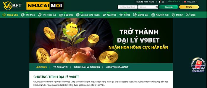 Lý do nên chọn cá cược bóng chuyền cấp độ R98 - R98