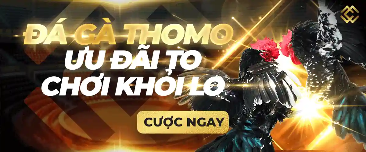 Trang web chính hãng Banca - Banca