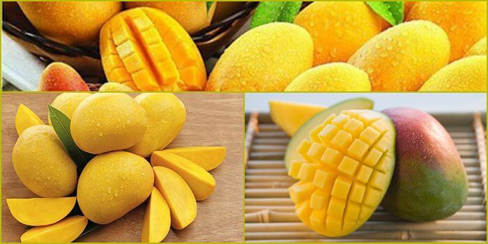 Đánh giá của Empire Games Company (xếp hạng Caxeng) - Caxeng