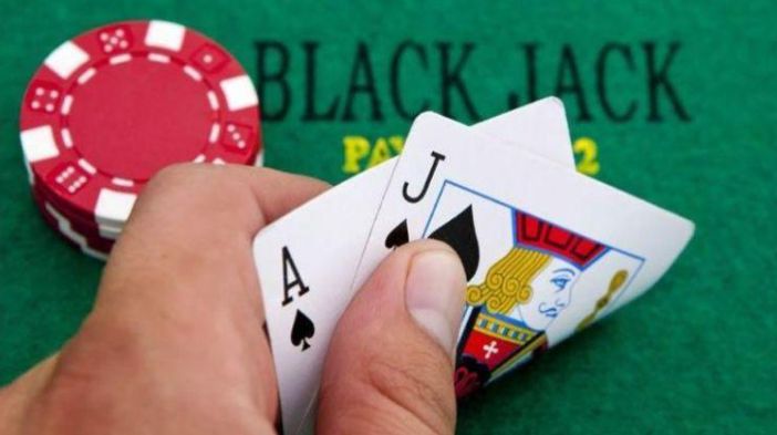 King88 Bet cũng coi trọng các khía cạnh khác - King88
