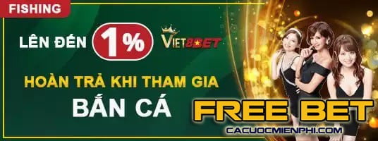 Hướng dẫn tải xuống Sbty - Sbty
