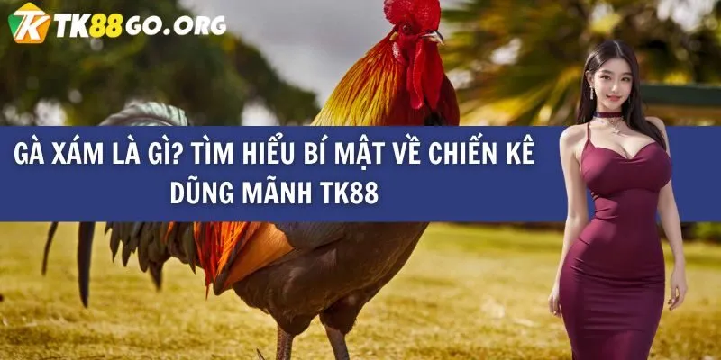Fb9 - Một trang web chơi game trực tuyến công bằng và minh bạch - Fb9