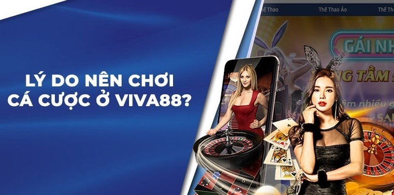 Hoạt động quảng bá của Công ty trò chơi D9bet - D9bet