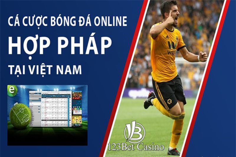 Trang web của Vbo99 hoạt động 24/7 và hỗ trợ cả điện thoại di động và máy tính - Vbo99