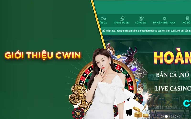Giấy phép nền tảng Sm66 - Sm66